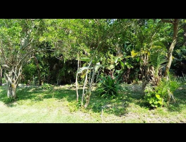 LAND FOR SALE IN PALM BEACH